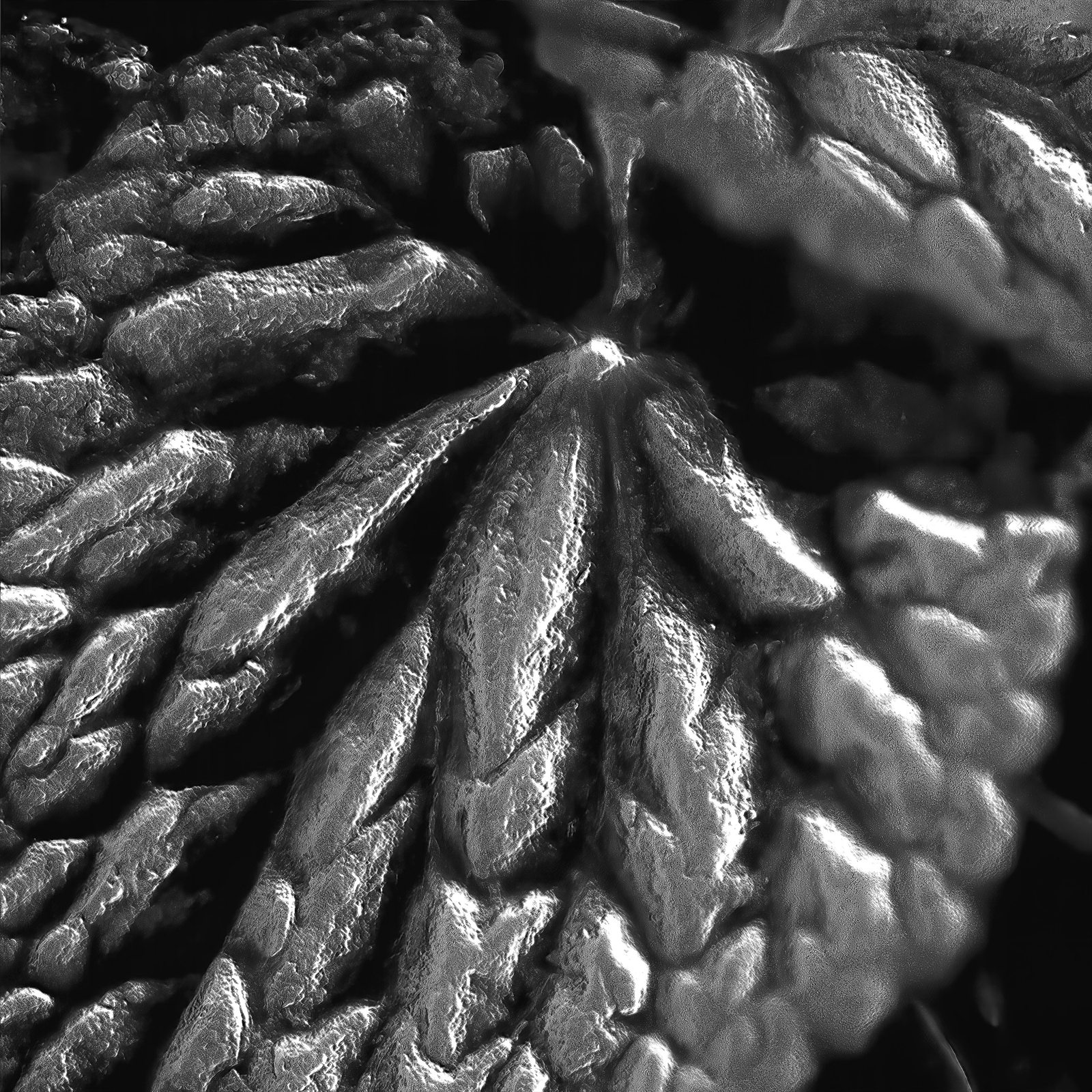 full metal plant 05