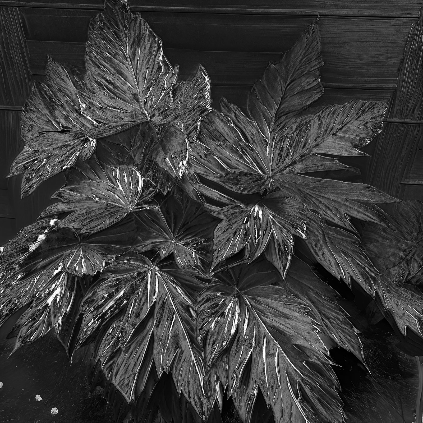 full metal plant 07