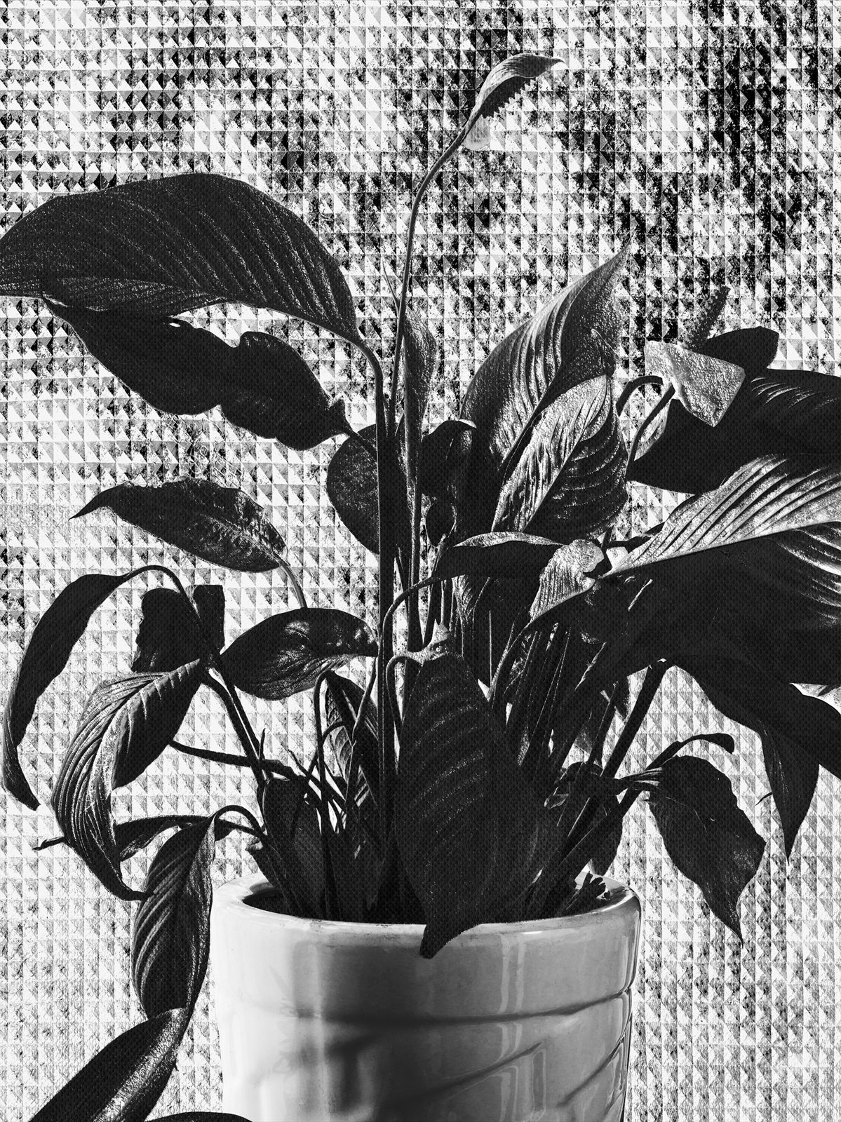 full metal plant 08