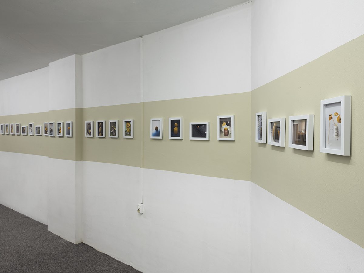 installation 37