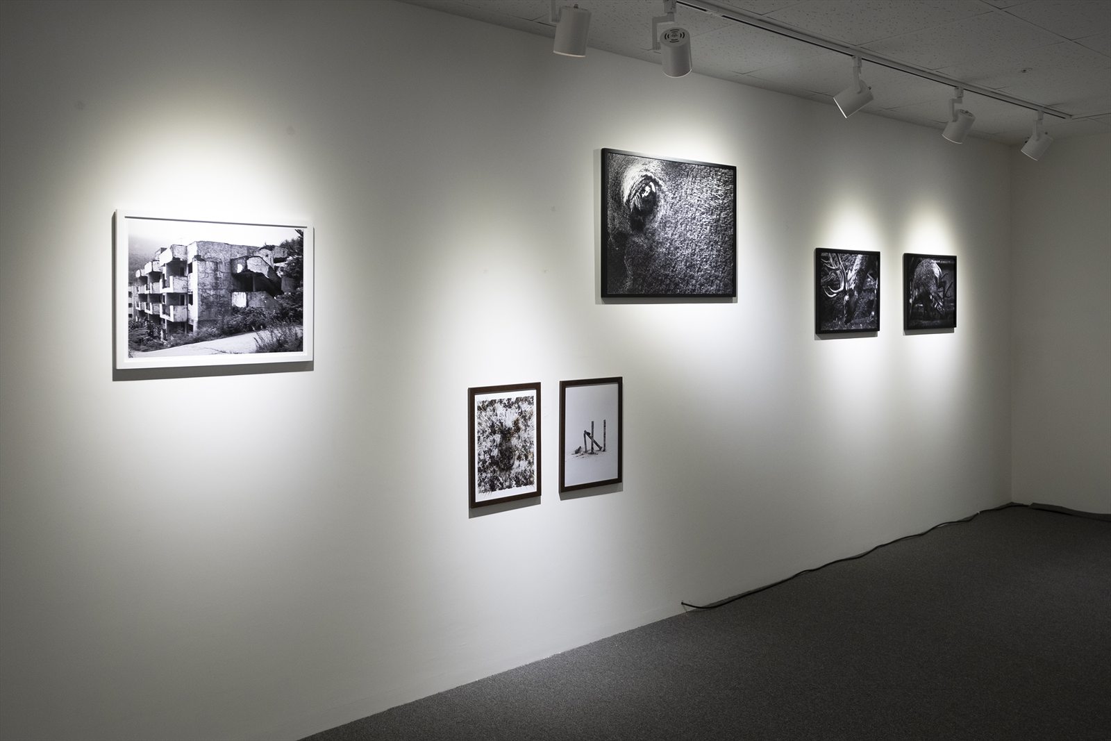 installation 50