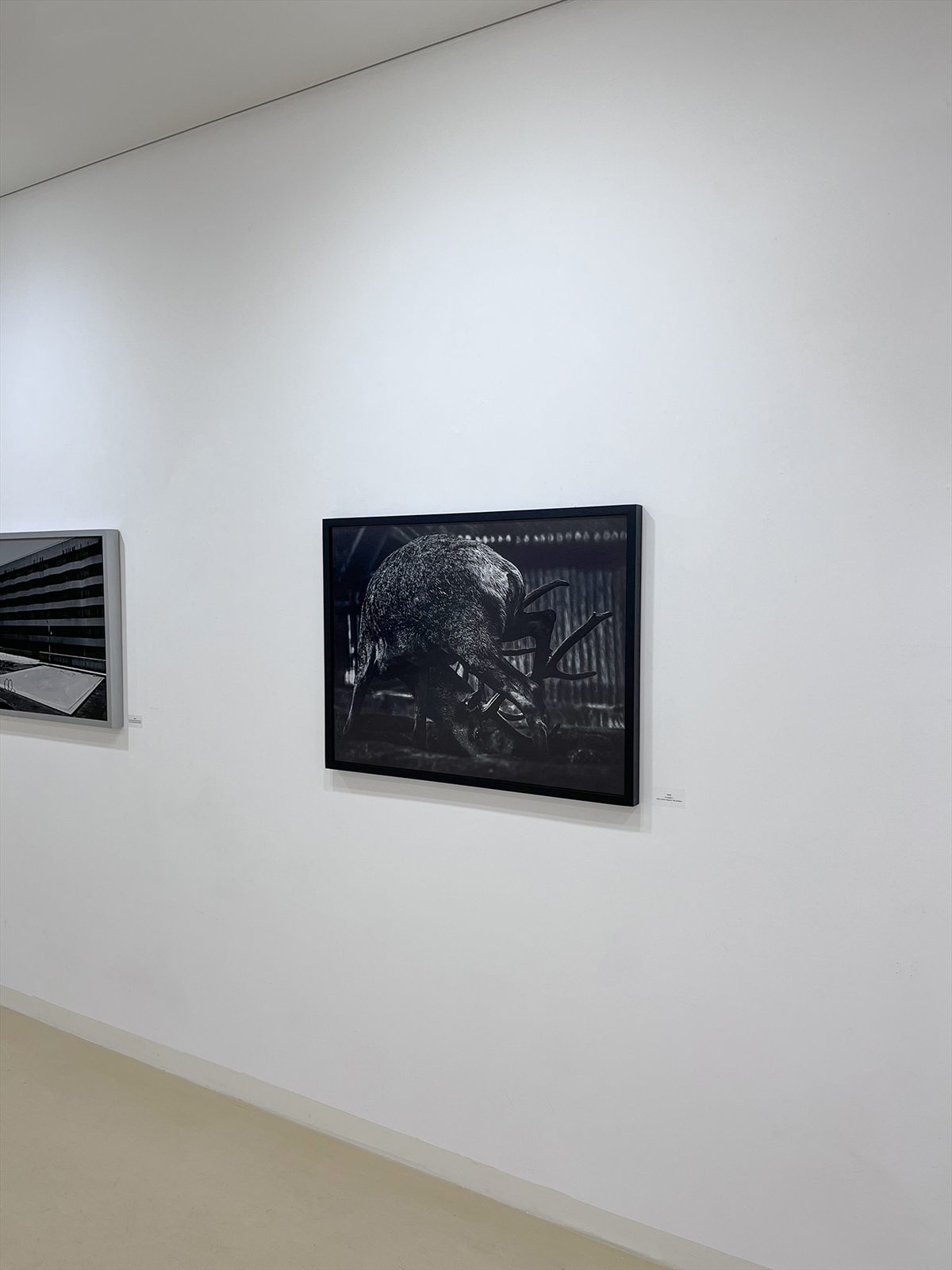 installation 24