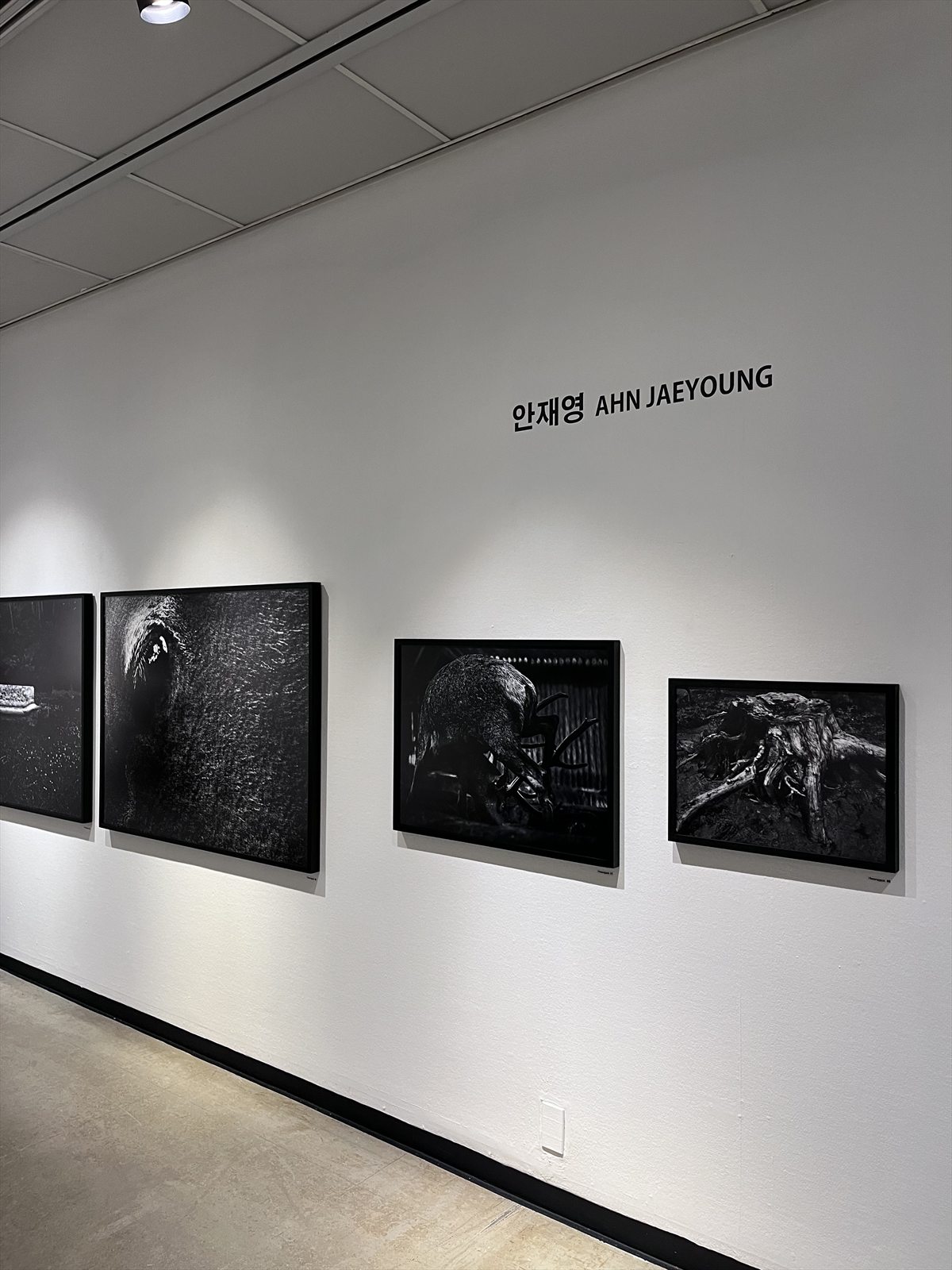 installation 22
