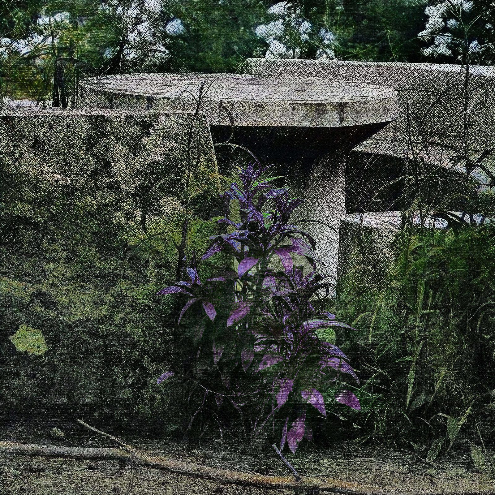 midore 04