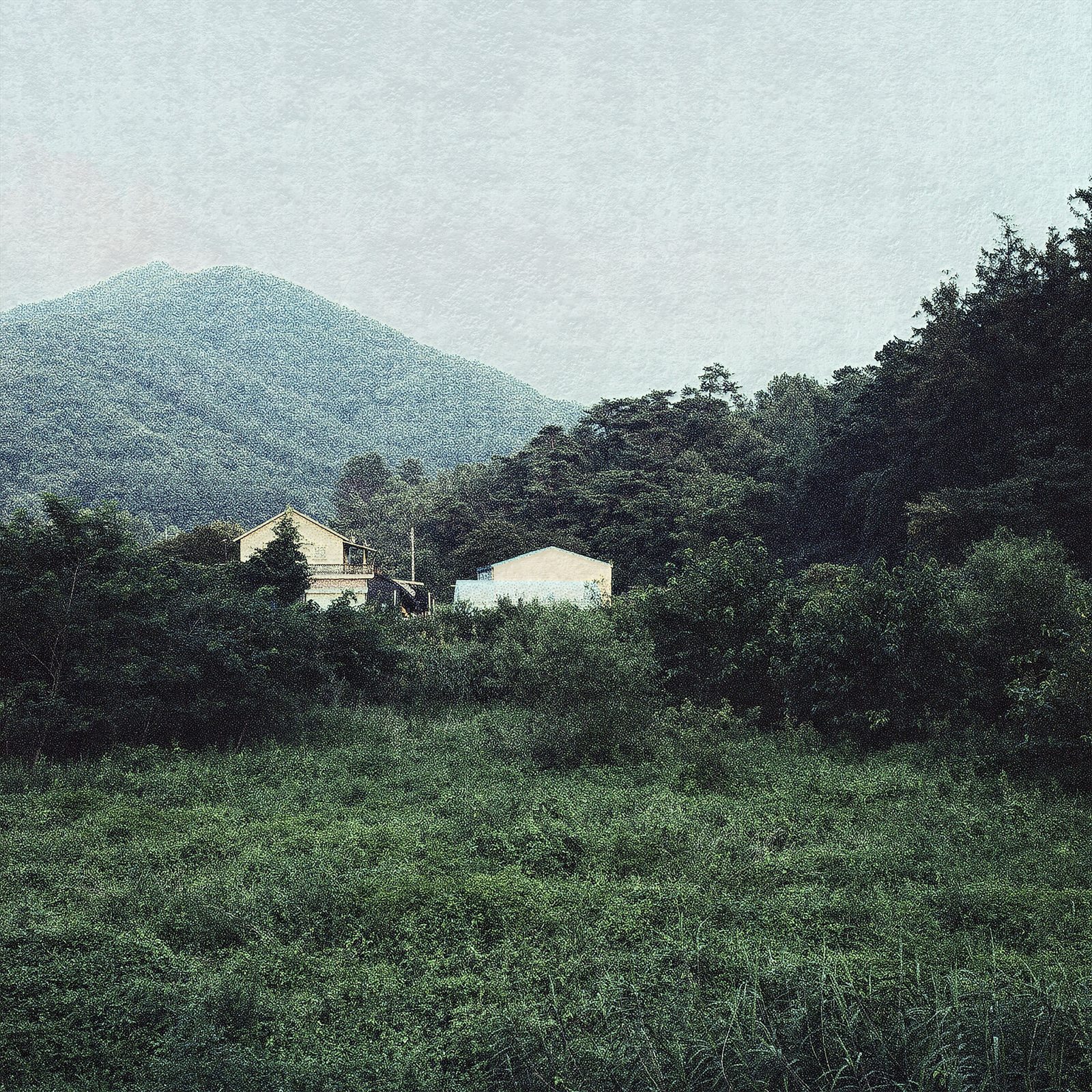 midore 05